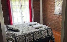 Molina, cerca de 7 Tazas, campo con animales
